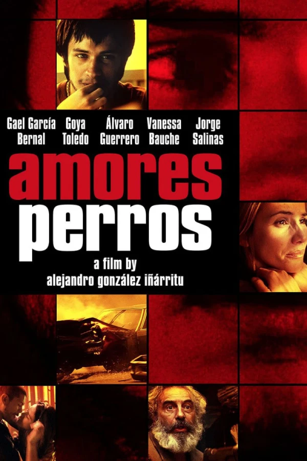 Amores Brutos Poster